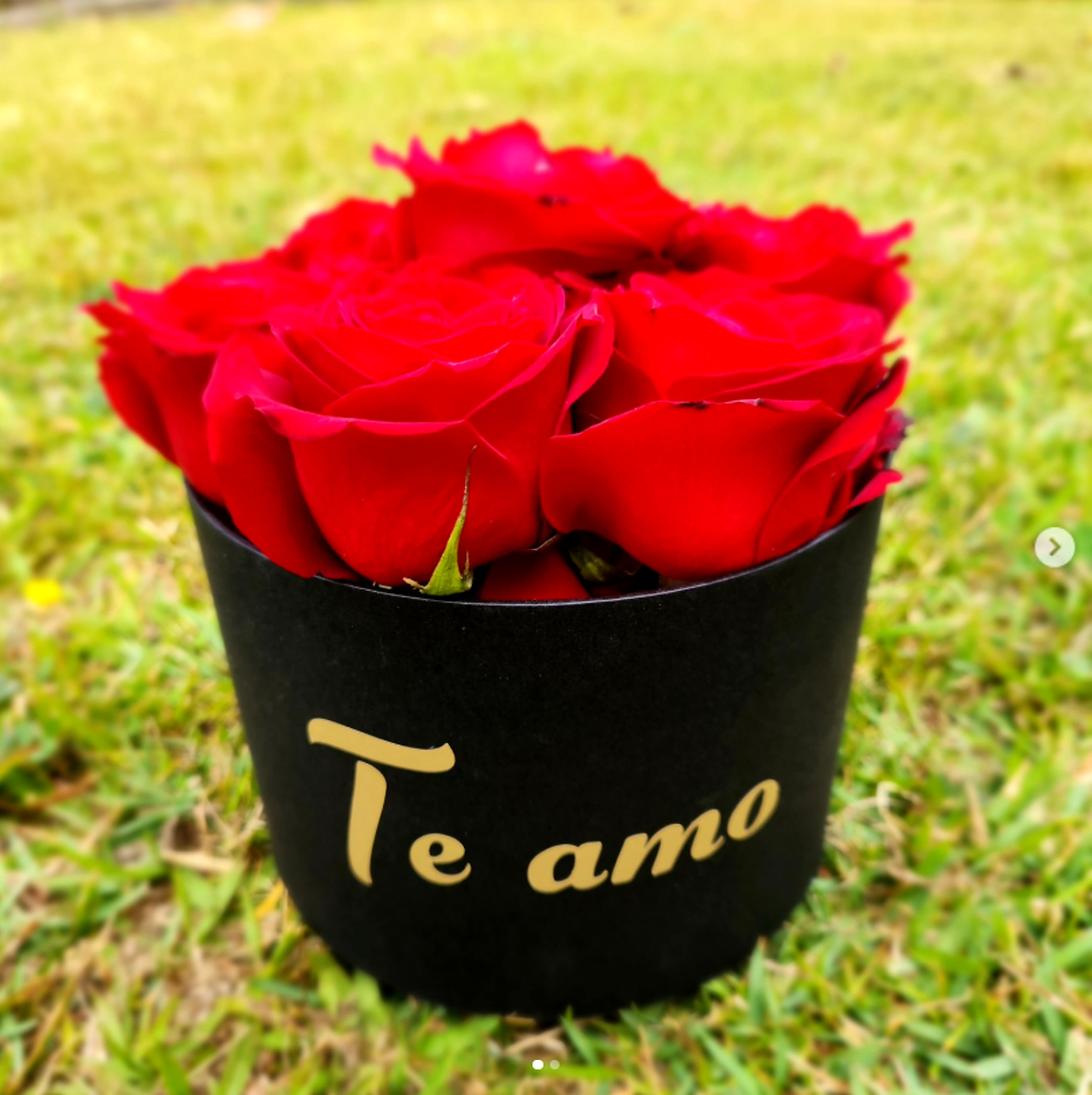 Box Te Amo da PIC&FUN